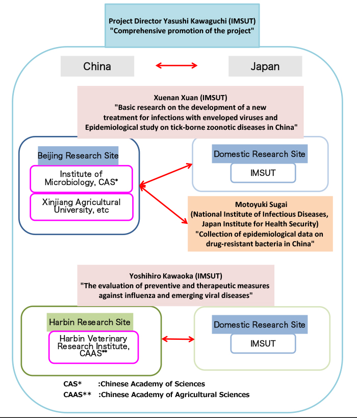 Organization Chart