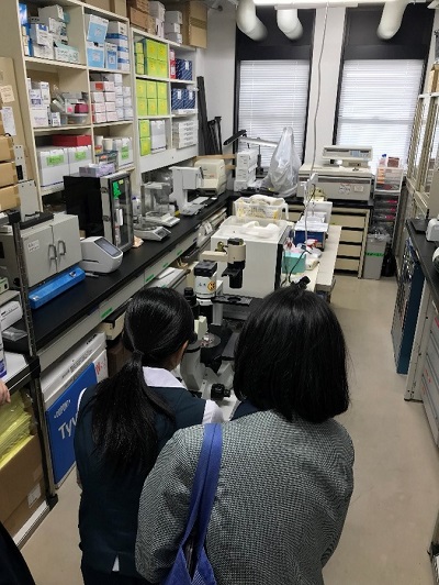 yApril 24, 2025zHigh School Students Visit Project Lab in IMSUT